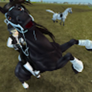 Meet your Posher, Lauryn